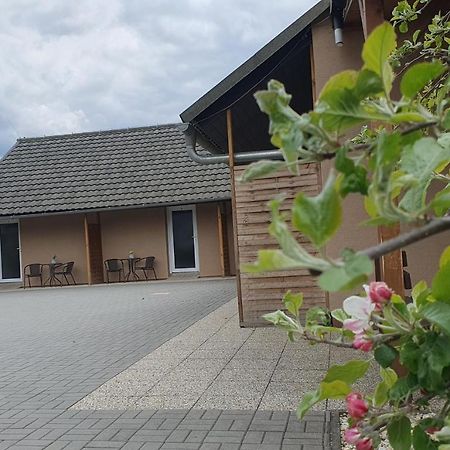Apartmany Dolosin Velké Losiny Exteriör bild