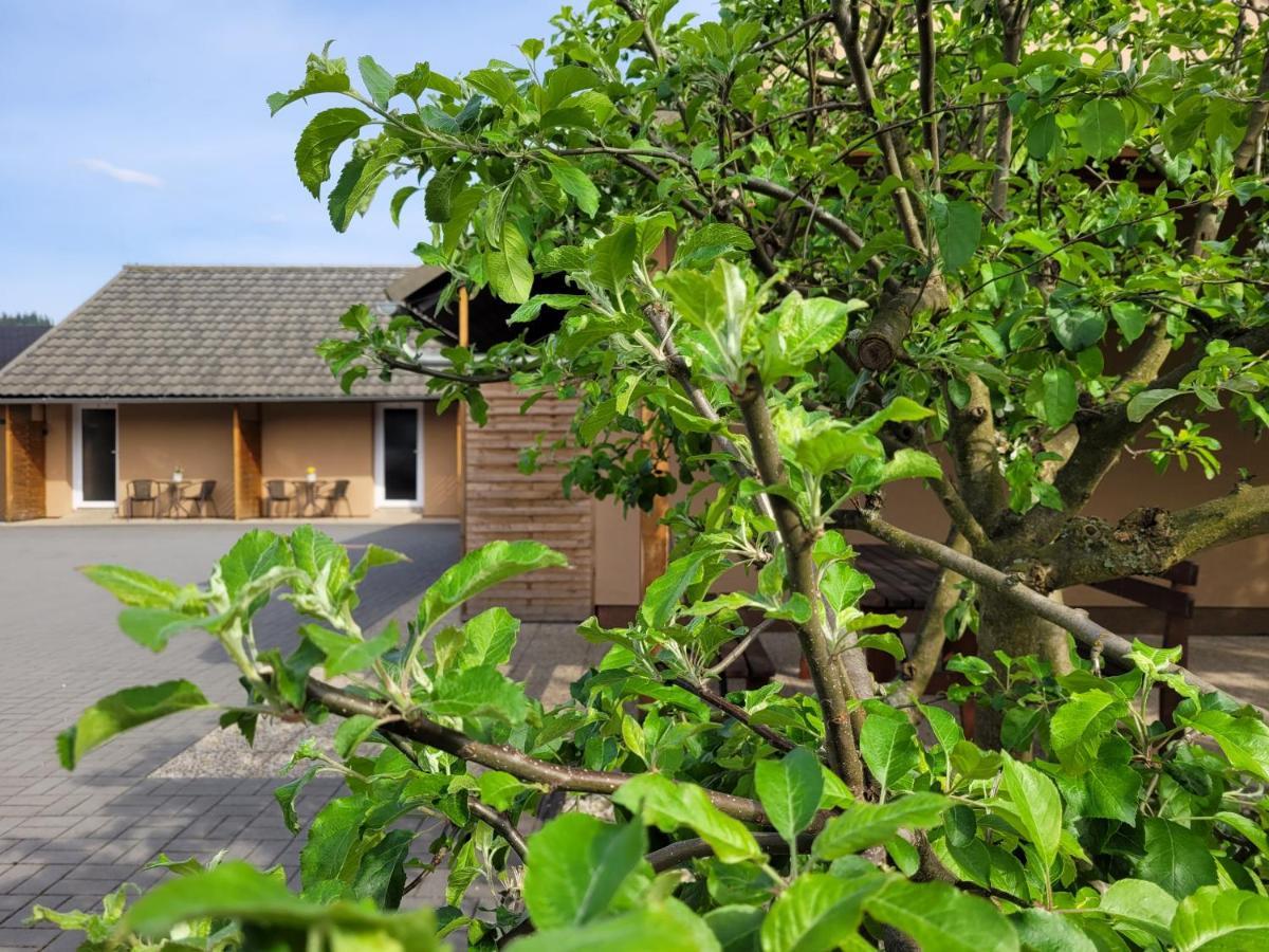 Apartmany Dolosin Velké Losiny Exteriör bild